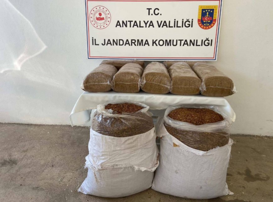 Gazipaşa'da Kaçak Tütün ve Sigara Operasyonu: 250 Kilogram Tütün Ele Geçirildi