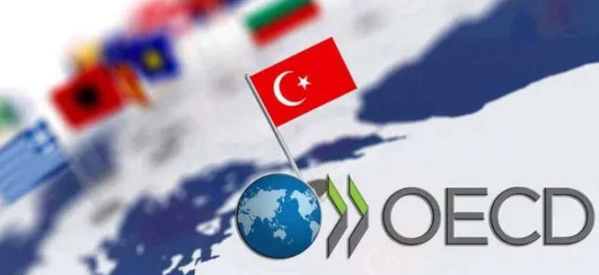 Ekonomide Yüzler Güldü: OECD, 2025 Türkiye Büyüme Tahminini Artırdı
