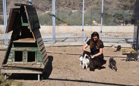Antalya'nın Modern Sokak Hayvanları Merkezi Can Dostlara Umut Oluyor