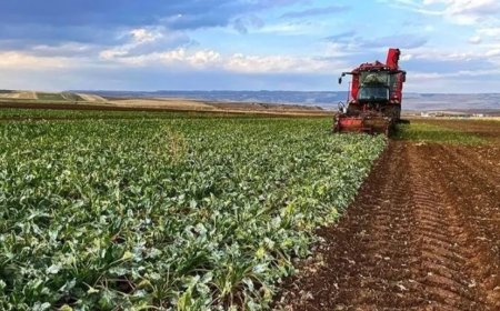 Çiftçi Destek Ödemeleri Ne Zaman Hesaplarda Olacak?