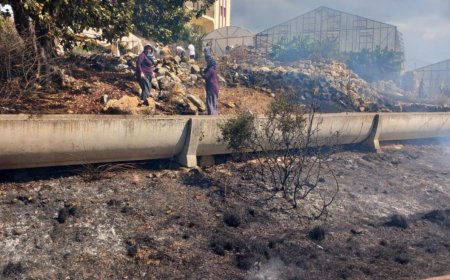 Gazipaşa'da Zirai Alan Yangını Erken Müdahaleyle Büyümeden Söndürüldü.