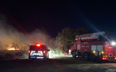 Serik’te yol kenarındaki otluk alanda çıkan yangın korkuttu