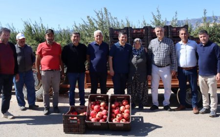 Döşemealtı Nar Hasadına Başladı: Bereketli Toprakların Ürününe Coğrafi İşaret Müjdesi!