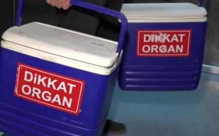 Yaşamak İçin Bekliyorlar: Türkiye'de 32 Bin 500 Kişi Organ Nakli Sırasında!