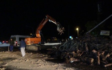 Manavgat'ta Odun Yüklü Kamyon Devrildi, Yol Kapandı.