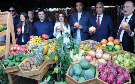 Gazipaşa Nar ve Tropikal Meyve Festivali'nde Coşku Dorukta