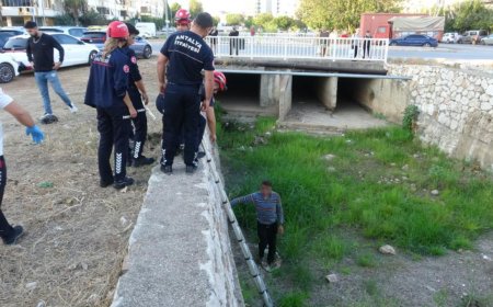 Antalya'da Sıradışı Kurtarma: Kanala Düşen Adam, Köpeğinin Yardımıyla Çıkarıldı.