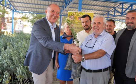 Alanya Belediyesi'nden Yangınzedelere 10 Bin Zeytin Fidanı Desteği