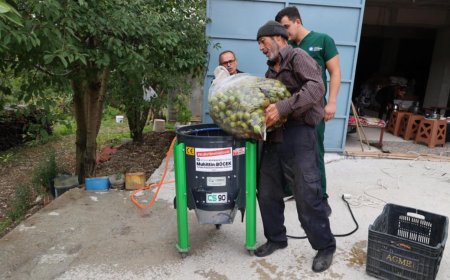 Antalya Büyükşehir'in Makinesiyle Ceviz Hasadı Hızlandı