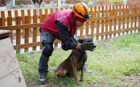 Antalya İçin Büyük Kazanım: Belçika Kurdu Tina, 2 Yıl Boyunca Enkazlarda Görev Alabilecek