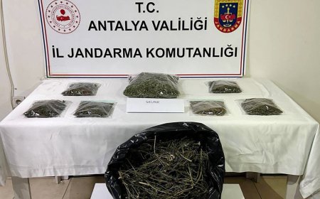 Antalya Alanya'da Düzenlenen Operasyonda 800 Gram Kubar Esrar Ele Geçirildi, 1 Şüpheli Yakalandı