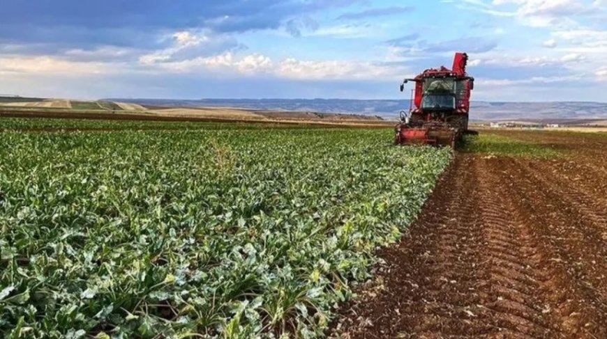 Çiftçi Destek Ödemeleri Ne Zaman Hesaplarda Olacak?