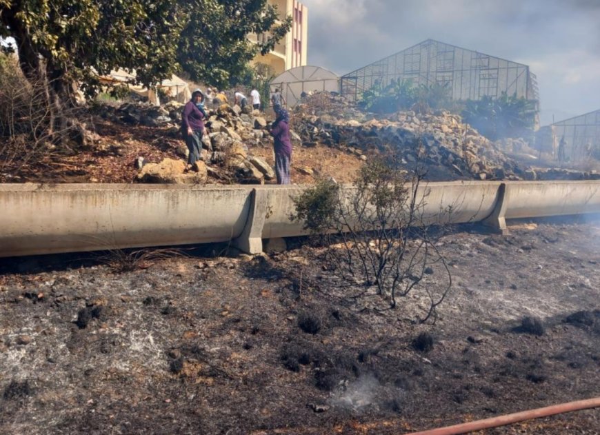 Gazipaşa'da Zirai Alan Yangını Erken Müdahaleyle Büyümeden Söndürüldü.