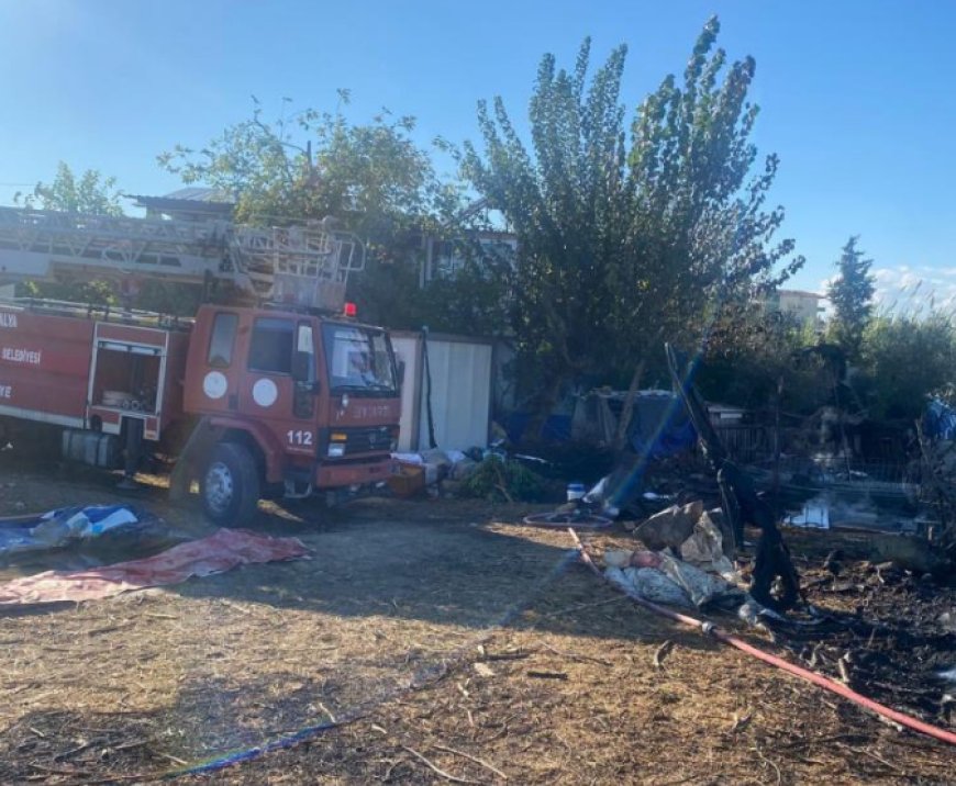 Antalya’nın Serik ilçesinde bir ahırda çıkan yangında 1 koyun telef oldu.