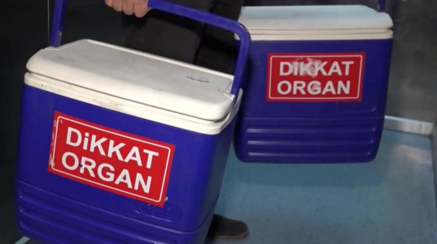 Yaşamak İçin Bekliyorlar: Türkiye'de 32 Bin 500 Kişi Organ Nakli Sırasında!