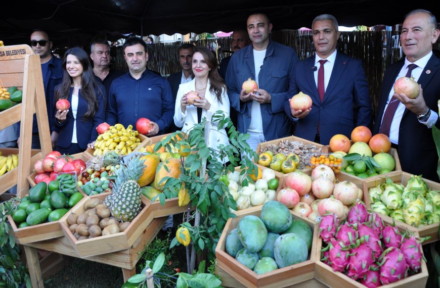 Gazipaşa Nar ve Tropikal Meyve Festivali'nde Coşku Dorukta