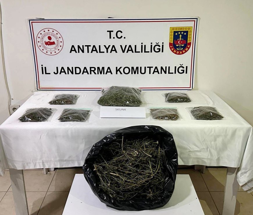 Antalya Alanya'da Düzenlenen Operasyonda 800 Gram Kubar Esrar Ele Geçirildi, 1 Şüpheli Yakalandı