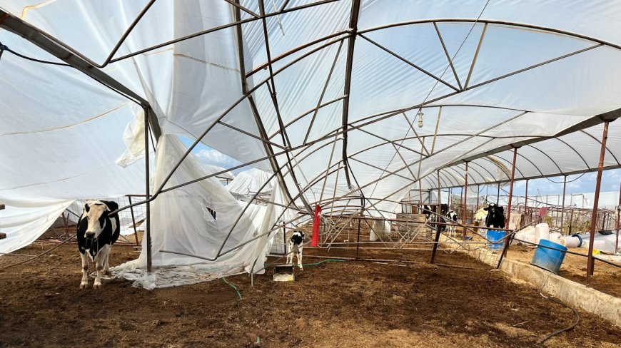 Büyükşehir, Selden Zarar Gören Üreticinin Yanında