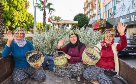 Manavgat Zeytin ve Zeytinyağı Festivali 8-9 Kasım'da İkinci Kez Kapılarını Açıyor
