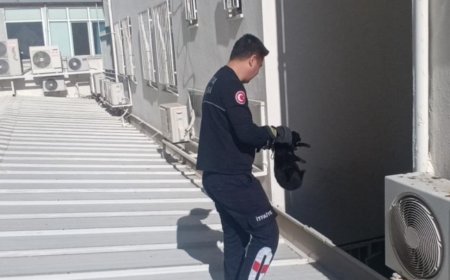 Manavgat Pazartesi Pazarı'nda İlginç Kurtarma Anları: Kedi Sıkıştığı Çatıdan İndirildi.