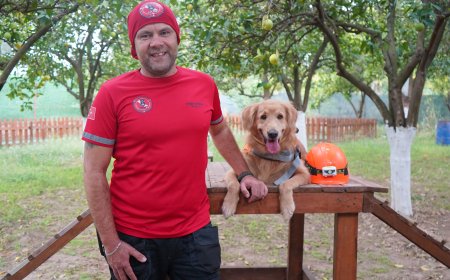 Antalya'dan Hayvan Sahiplerine Çağrı: Köpeğiniz Kahraman Olsun