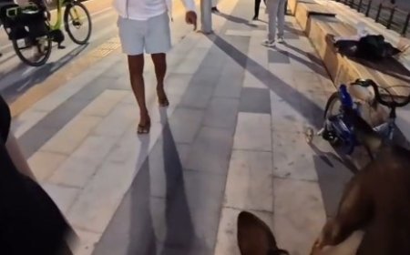 Alanya'da Skandal Görüntüler: Köpeğini Kesmekle Tehdit Etti!