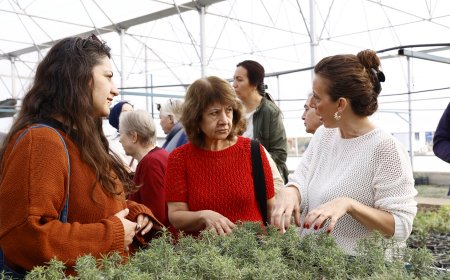 ATASEM'de 'Tıbbi ve Aromatik Bitkiler' Toprakla Buluşuyor: Kursiyerler Serada Pratik Yapıyor