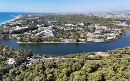 Manavgat'ın Akciğeri Koruma Altında: Nesli Tükenen Çamlara Tel Çit Kalkanı!