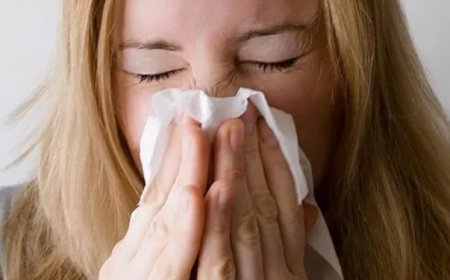 Polenler Gitti, Tehlike Bitmedi: Sonbaharda Küf Mantarlarına Dikkat!