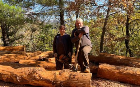 Mersin'den Antalya'ya Ekmek Davası: Torosların Sarp Yamaçlarında Yaşamla Mücadele Eden Orman İşçileri.