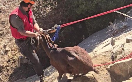 Antalya'da Arama Kurtarma Ekiplerinden Film Gibi Keçi Kurtarma Operasyonu