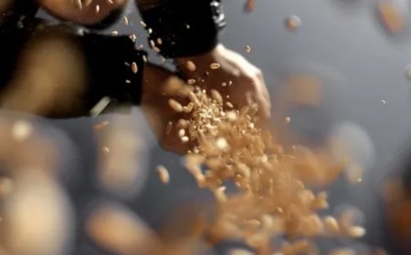 Türkiye'den Tohum İhracatında Rekor: 121 Pazara Ulaşım Sağlandı