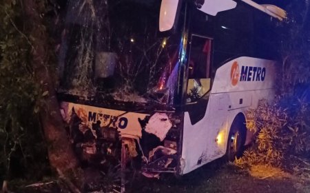 ANTALYA'nın Alanya ilçesinde yolcu otobüsünün refüjdeki ağaç ve aydınlatma direğine çarptığı kazada 3 kişi yaralandı.