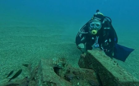 Konyaaltı Sahili'nde Yapay Resif Oluşturuldu: 12 Balık Türü Birlikte Yaşamaya Başladı