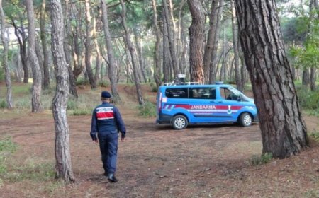 Manavgat Sorgun Ormanlarında Jandarmadan Devriye ve Denetim Artışı