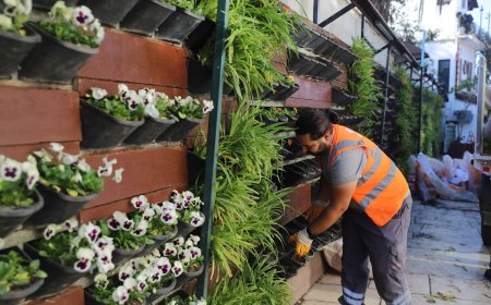 Antalya'ya Çiçek Yağmuru: 4 Milyon Fidan Dikiliyor