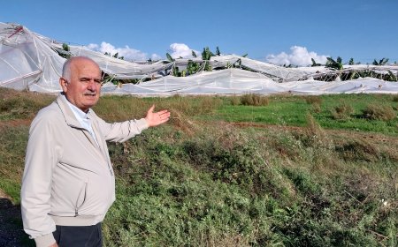 Manavgat'ta Hortum Felaketi: 40 Dönüm Sera Yerle Bir Oldu