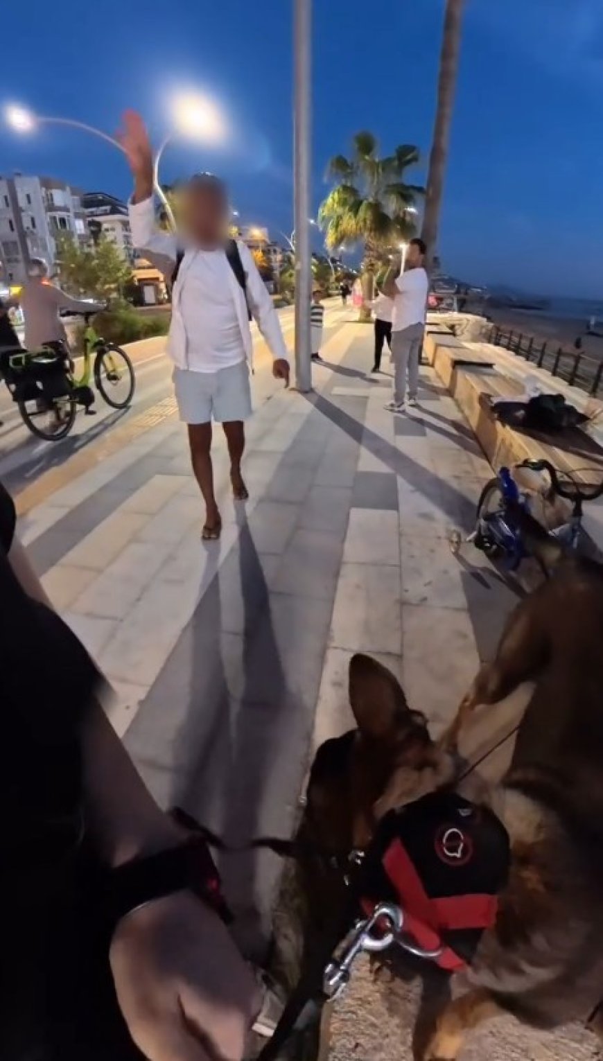 Alanya'da Skandal Görüntüler: Köpeğini Kesmekle Tehdit Etti!