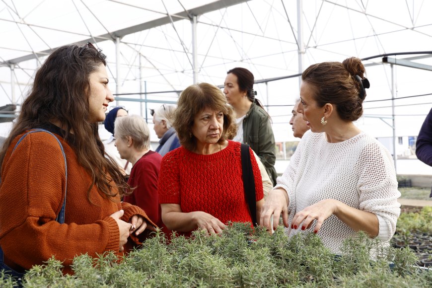 ATASEM'de 'Tıbbi ve Aromatik Bitkiler' Toprakla Buluşuyor: Kursiyerler Serada Pratik Yapıyor