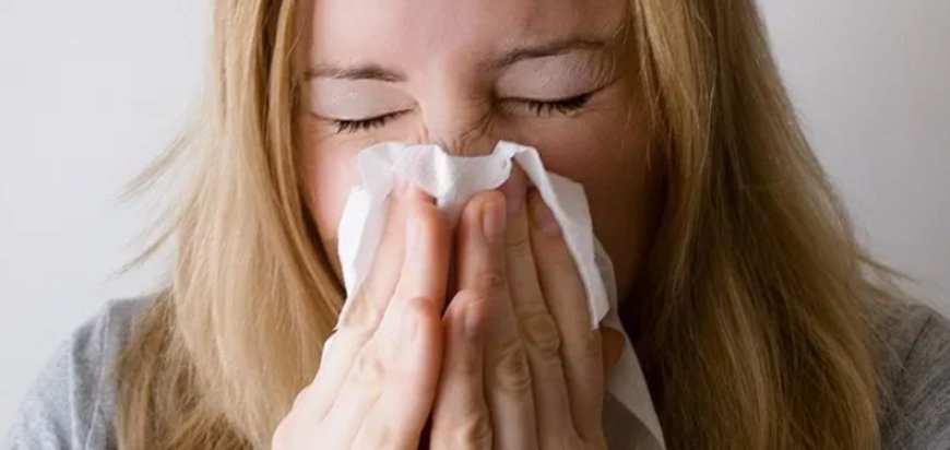 Polenler Gitti, Tehlike Bitmedi: Sonbaharda Küf Mantarlarına Dikkat!