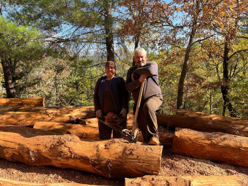Mersin'den Antalya'ya Ekmek Davası: Torosların Sarp Yamaçlarında Yaşamla Mücadele Eden Orman İşçileri.