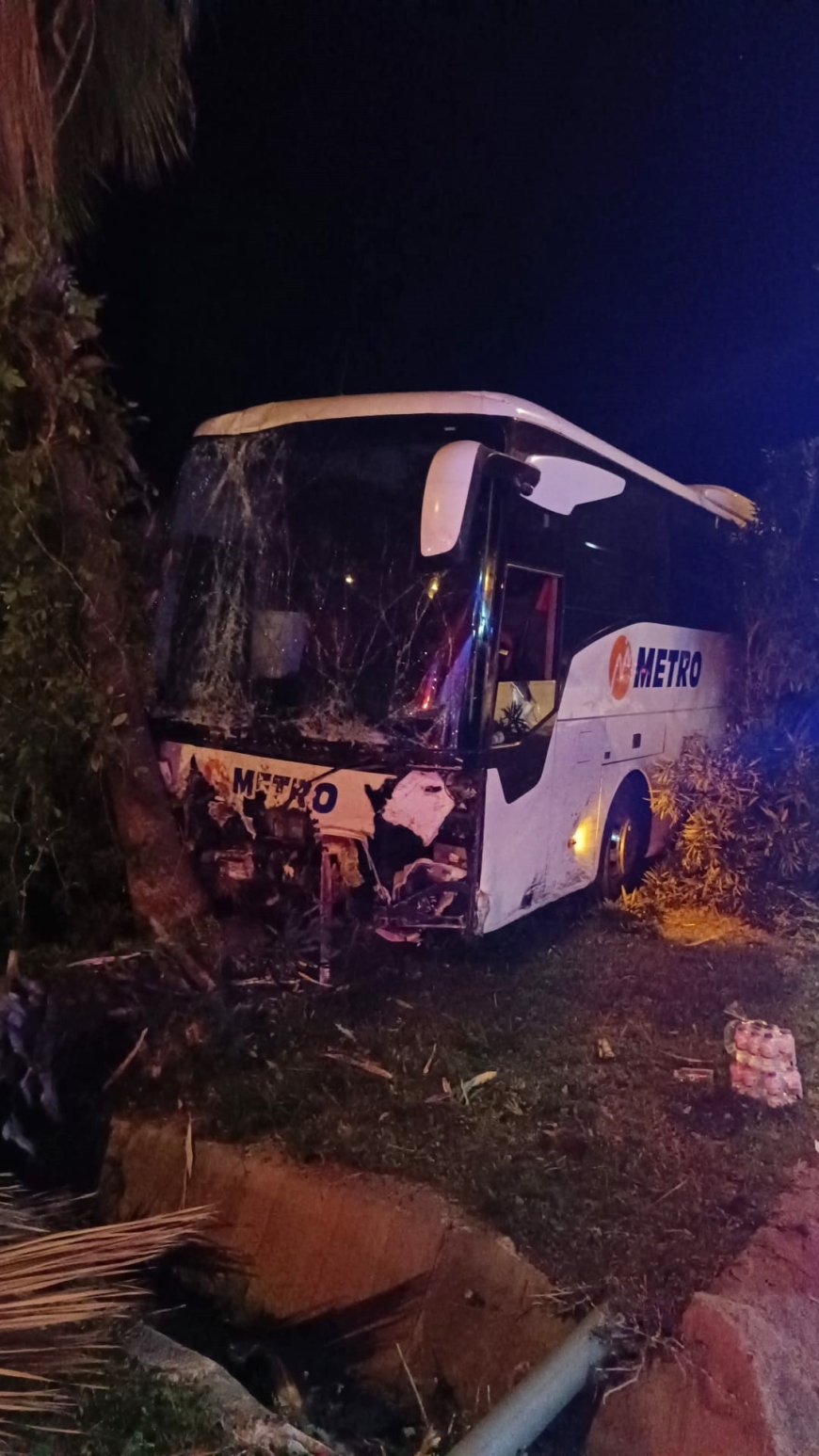 ANTALYA'nın Alanya ilçesinde yolcu otobüsünün refüjdeki ağaç ve aydınlatma direğine çarptığı kazada 3 kişi yaralandı.