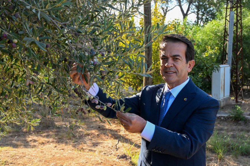 Antalya Zeytinyağı Kalitesini Taçlandırıyor: Büyük Yarışma İçin Başvurular Başladı