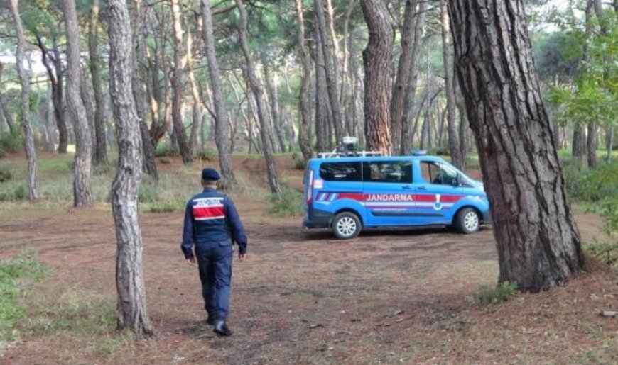 Manavgat Sorgun Ormanlarında Jandarmadan Devriye ve Denetim Artışı