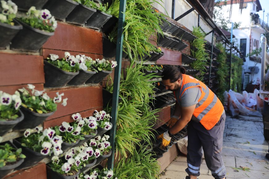 Antalya'ya Çiçek Yağmuru: 4 Milyon Fidan Dikiliyor