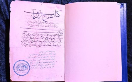 Türkiye'ye Tarihi Eser Yağmuru: Bu Yıl 110 Varlık Geri Getirildi