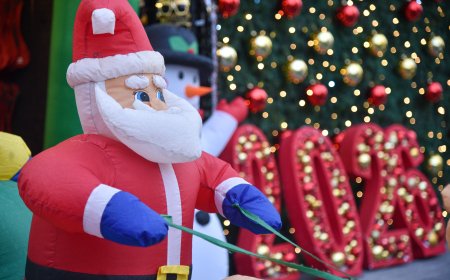 Yılbaşı Ağacı Maliyeti Rekor Kırdı