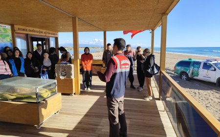 Jandarma ve Dekafok İş Birliğiyle Manavgat Kıyılarında Çevre Eğitimi ve Temizlik Hareketi