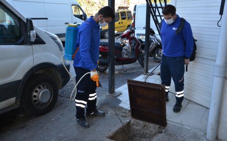 Alanya'da Haşereye Geçit Yok: Büyükşehir Ekipleri İlaçlama Çalışmalarını Sürdürüyor