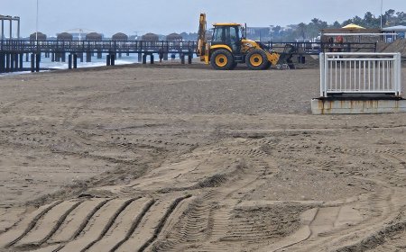 Caretta Caretta Yuvalama Alanına İş Makinesi Darbesi: Belek'teki Kumul Katliamına Tepki Yağıyor